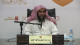 (8) تكوين المداخل الأولية إلى علم الحديث (1-2)
