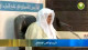 (4) أحوال مظاهرة المشركين