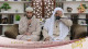 (38) القراءة خلف الإمام في الصلاة الجهرية