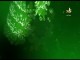 (22) الولاء والبراء