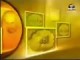 معرفة دين الإسلام بالأدلة