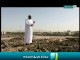 حرار قباء