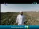 الطريق إلى قباء