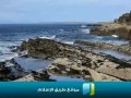 قصيدة ماتعة : كرهت وعلام الغيوب حياتي