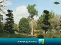 إنشودة ماتعة : بك أستجير