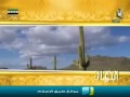 ابتهال : الحمد لله النافذ أمره