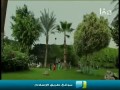 إنشودة ماتعة : ما شان أم المؤمنين وشانى