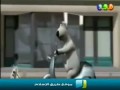 كارتون اضحك مع دبدوب : المطاردة