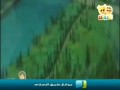 كارتون الصديق الوفي : الحلقة (2)