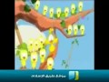 أناشيد أطفال : أنا عصفور صغير