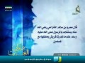 ديـوان_العرب : قصيـدة عمـرو بن سـالم الخزاعي