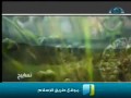 تسابيح : الغفور الغفار