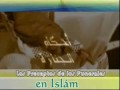 Los preceptos del funeral en el Islam