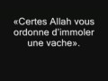 La vie de moïse dans le Coran [13] L’histoire de la vache