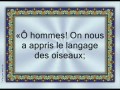 La vie des prophètes dans le Coran [03] La vie du prophète Soulaymen (Salomon) (Histoire avec la Reine de Sabaa)