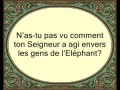 Le Coran en vidéos sous-titrées [105] L’Eléphant : (par Saad Ibn Said Al-Ghamidy)